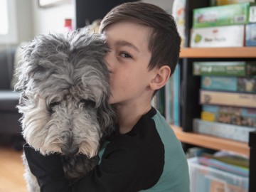 Mit Hund im Urlaub - Was kann passieren?