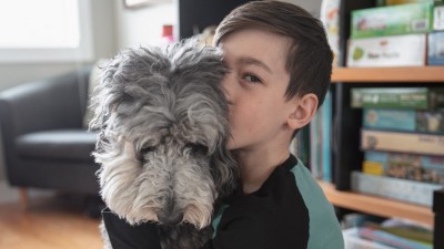 Mit Hund im Urlaub - Was kann passieren?