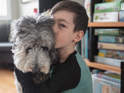 Mit Hund im Urlaub - Was kann passieren?