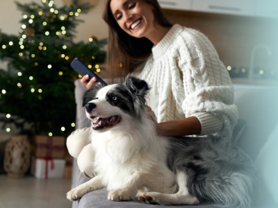 Hunde - Hilfsmittel, Tipps & Gadgets bei Silvesterangst