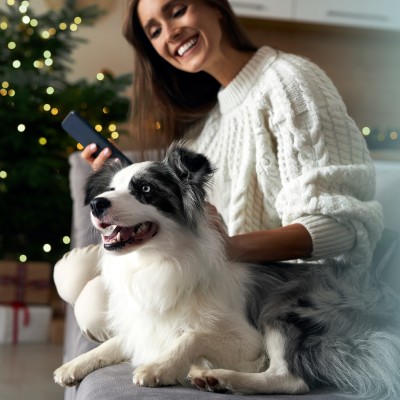 Hunde - Hilfsmittel, Tipps & Gadgets bei Silvesterangst