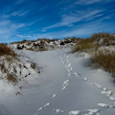 Eine Schneelandschaft mit Fu&szlig;spuren, die in verschiedenen Richtungen f&uuml;hren