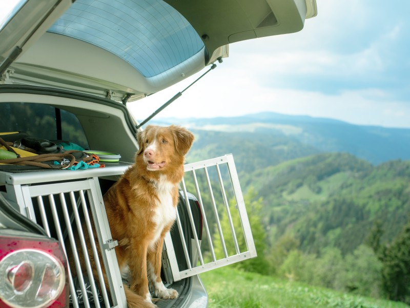Tipps für den Sommerurlaub mit Auto