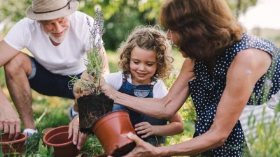 So machen Sie Ihren Garten zum Bienen- und Schmetterlingsparadies