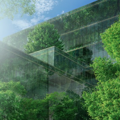 Die Schwammstadt - Effektiver Schutz vor Hochwasser und Hitze? : Begr&uuml;ntes B&uuml;rogeb&auml;ude mit vielen B&auml;umen