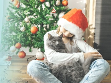 Kekse, Kerzen, Feueralarm? So bleibt Weihnachten besinnlich und sicher