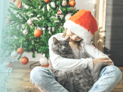Kekse, Kerzen, Feueralarm? So bleibt Weihnachten besinnlich und sicher 
