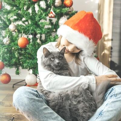 Kekse, Kerzen, Feueralarm? So bleibt Weihnachten besinnlich und sicher 