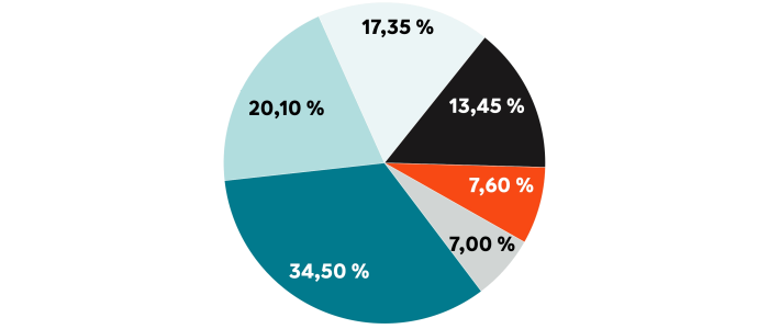 Die Grafik zeigt die Ursachen für Berufsunfähigkeit nach Häufigkeit