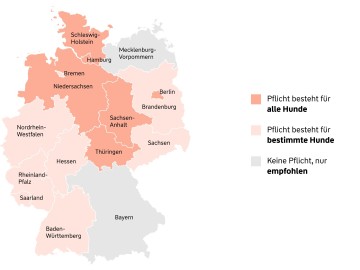  Infografik: In den folgenden Bundesländern ist die Hundehaftpflicht Pflicht