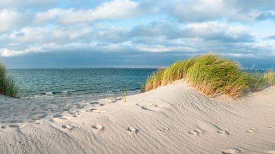 Versicherung in Schleswig-Holstein