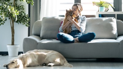 Hund, Katze & Co. in der Mietwohnung - Wie ist die Gesetzeslage?: Frau mit Hunden auf Sofa